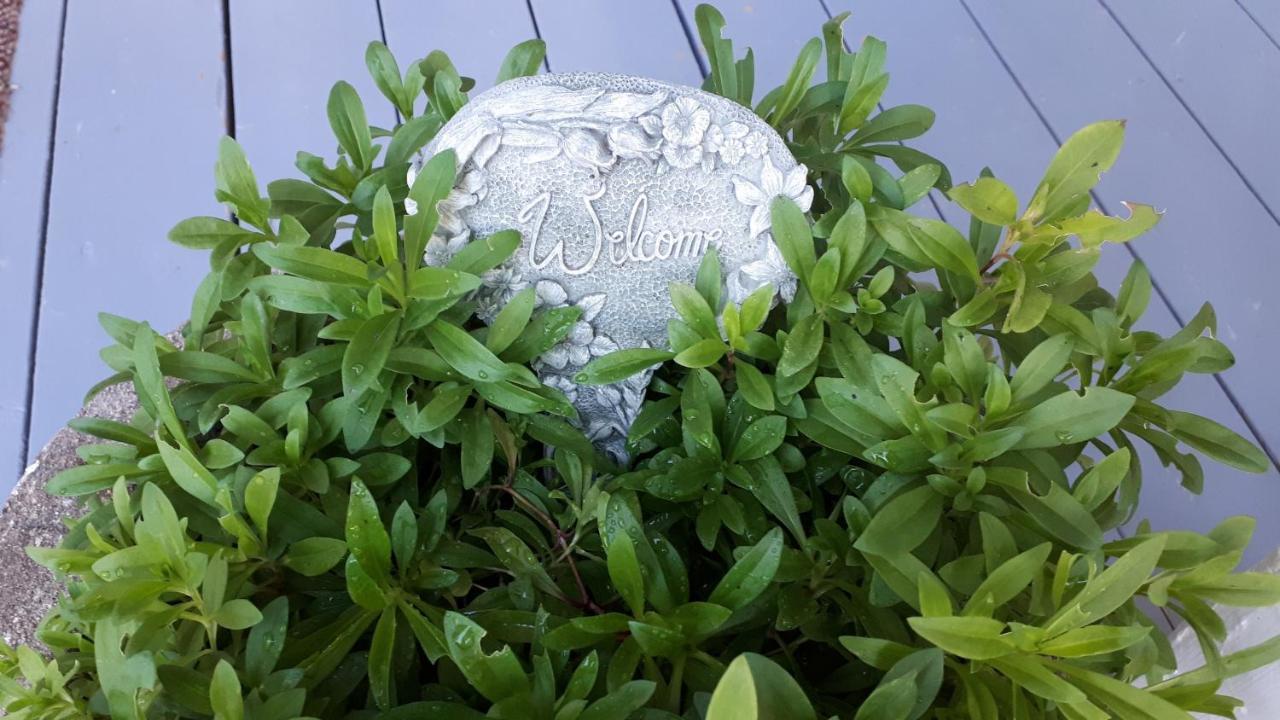 דיגבי Hillside Landing B&B מראה חיצוני תמונה